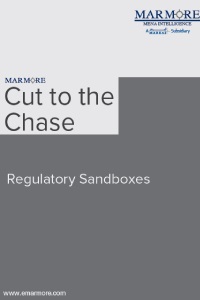 Regulatory Sandboxes