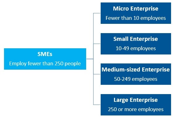 SMEs- Definition and Global Picture 