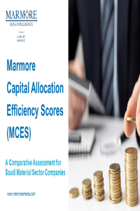 Marmore Capital Allocation Efficiency Scores (MCES) - Material Sector